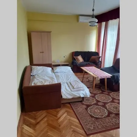 Apartament Im Zentrum In Der Andrassy Str. Bichișciaba